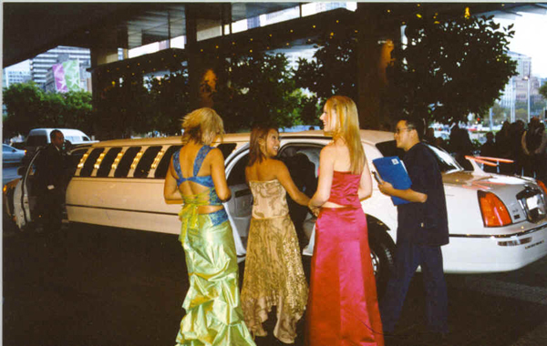 Learjet limousine photo