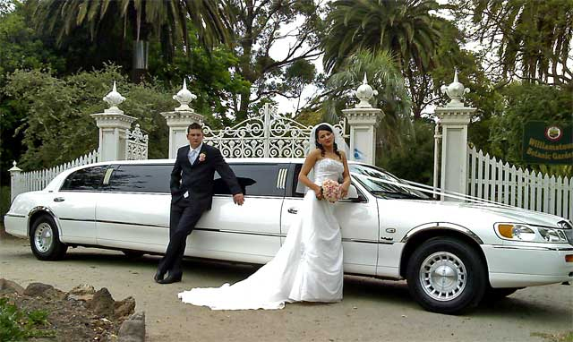 10-11 seater limousine photo